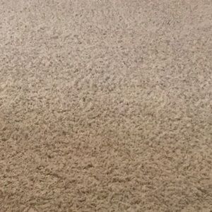 Meet your Posher, Connie